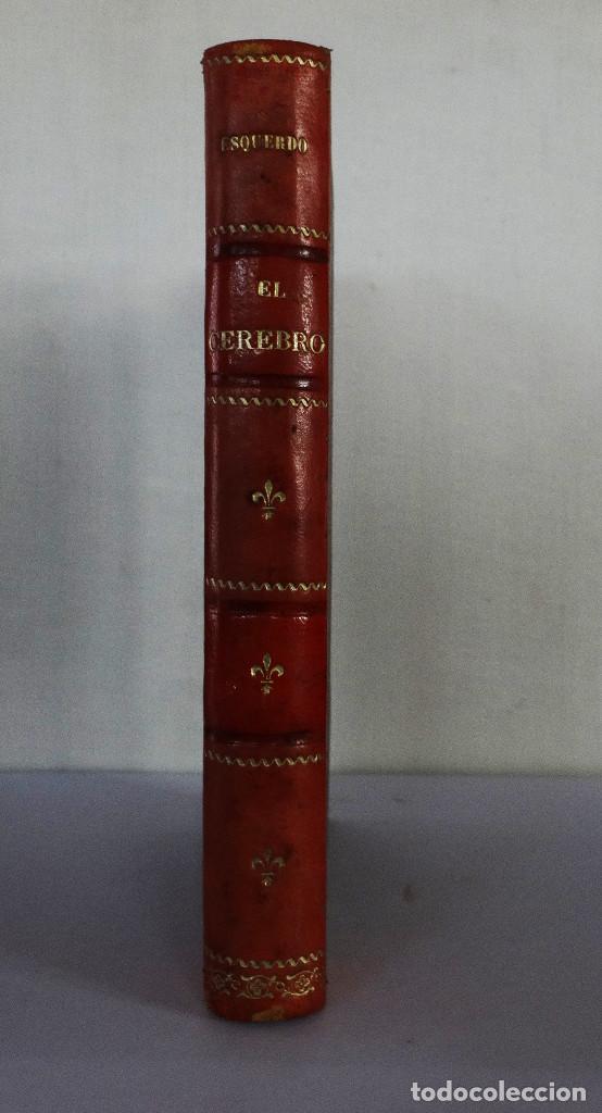 Libros antiguos: EL CEREBRO Vicente OTS Y ESQUERDO - Foto 2