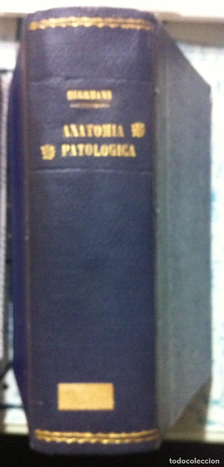 Libros antiguos: Herrmann & Morel. Tratado de anatom&iacute;a patol&oacute;gica. Tomo I. 1917