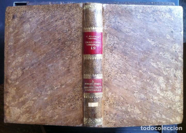 Libros antiguos: Cad&egrave;ac. Patolog&iacute;a interna. mediastino, coraz&oacute;n, vasos y sangre. Enciclopedia Veterinaria XIX. c.1905