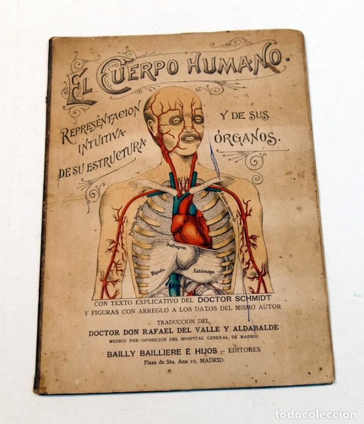 Pop up anatomia , cuerpo humano , organos sexua - Vendido ...