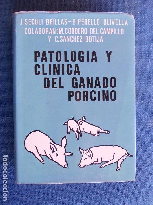 Antiquarische B&uuml;cher: Patologia y clinica del ganado porcino