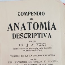 Livros antigos: COMPENDIO DE ANATOMÍA DESCRIPTIVA. DR. J.A. FORT. Lote 152544169