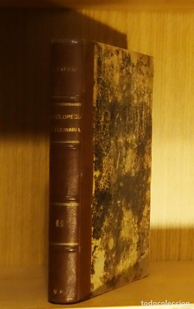 Libri antichi: PATOLOG&Iacute;A QUIR&Uacute;RGICA DE LOS TENDONES, M&Uacute;SCULOS Y NERVIOS - J. PADER Y C. CAD&Eacute;AC