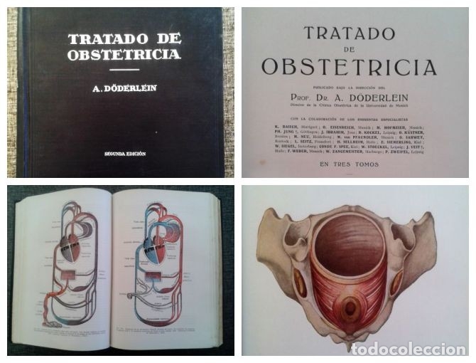 Tratado De Obstetricia (barcelona 1938) - Muy I - Comprar Libros ...