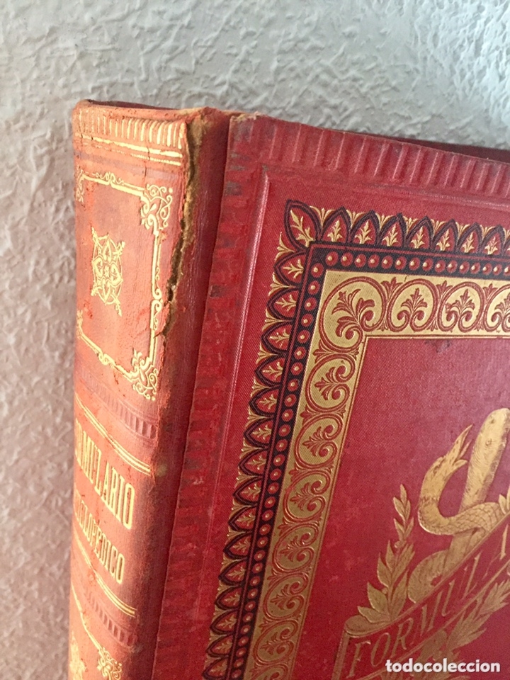 Libros antiguos: 1889 FORMULARIO ENCICLOPÉDICO MEDICINA FARMACIA VETERINARIA I y III - Foto 17 - 174011995