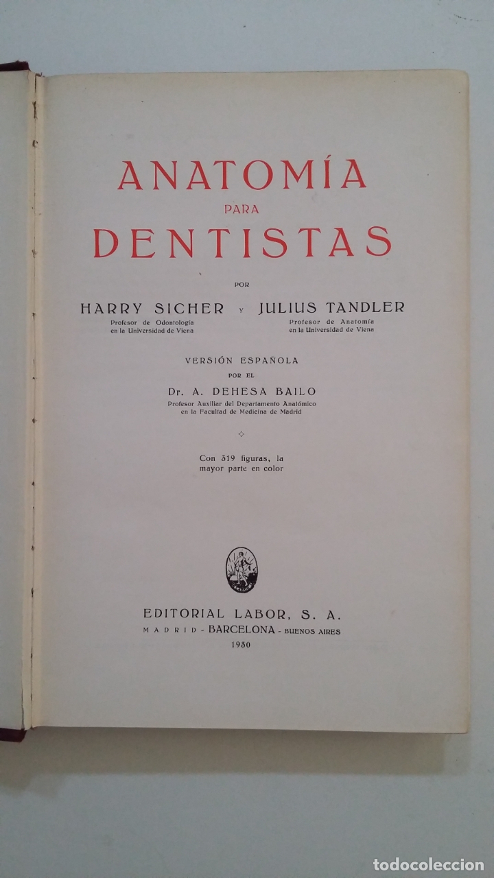 Anatomia Para Dentistas Sicher Harry Tand Comprar Libros