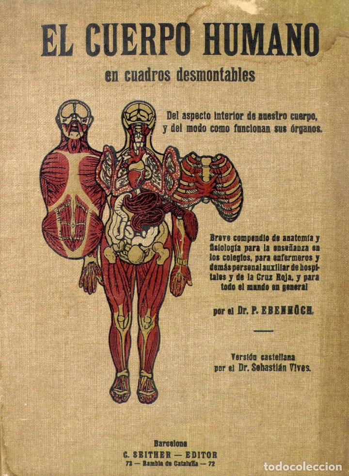 el cuerpo humano en cuadros desmontables - año - Compra venta en  todocoleccion