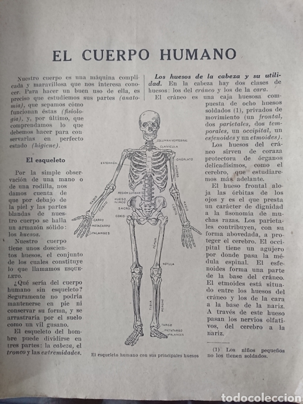 Libros antiguos: El cuerpo humano - Foto 3