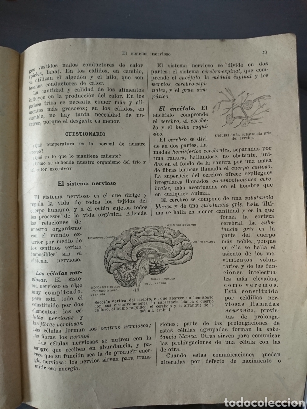 Libros antiguos: El cuerpo humano - Foto 4