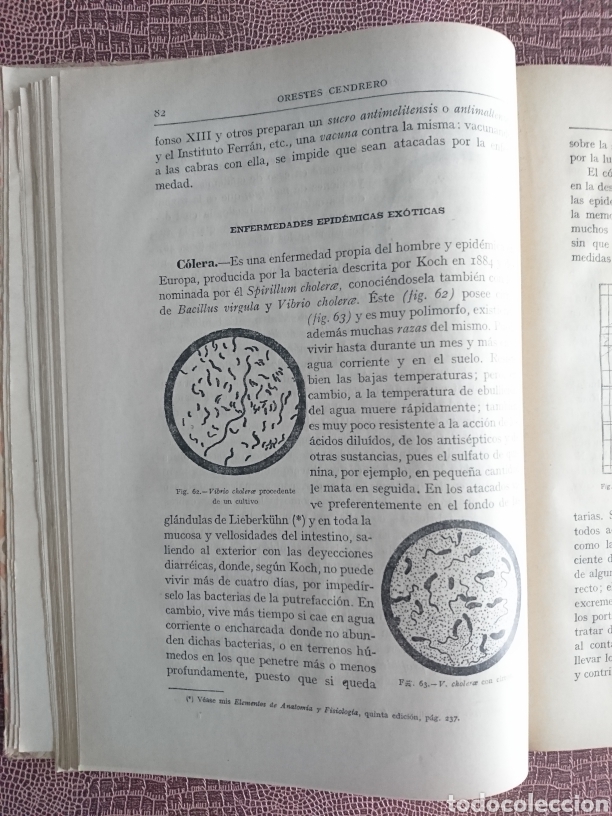 Libros antiguos: Elementos de higiene - Foto 4