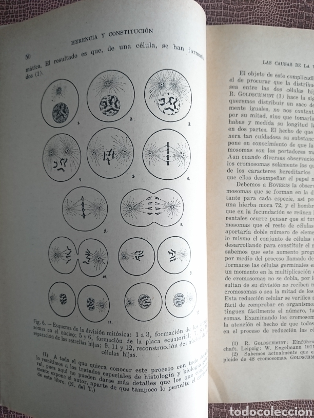 Libros antiguos: Herencia y constituci&oacute;n - Foto 5