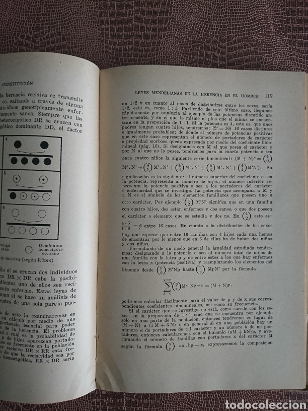 Libros antiguos: Herencia y constituci&oacute;n - Foto 6