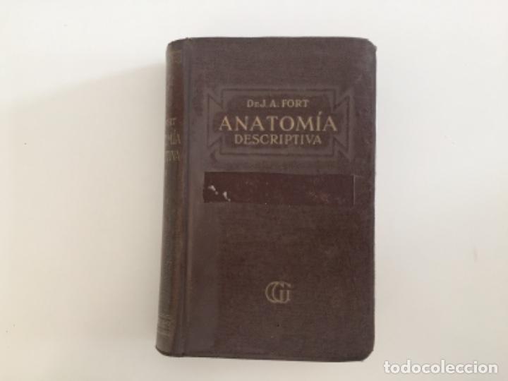 Libros antiguos: Compendio de anatom&iacute;a descriptiva. Dr. J. A. Fort - Foto 1