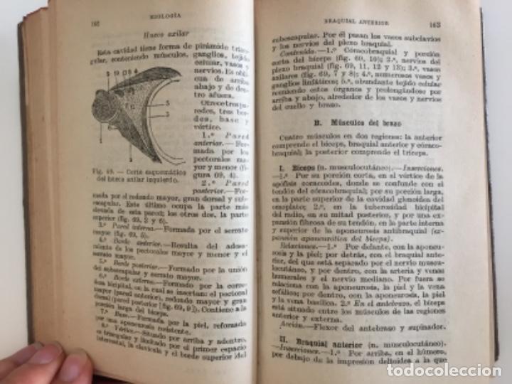 Libros antiguos: Compendio de anatom&iacute;a descriptiva. Dr. J. A. Fort - Foto 3