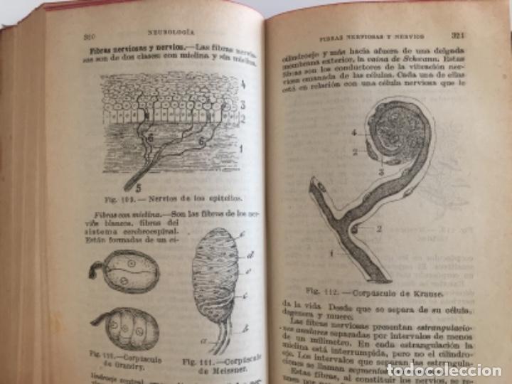 Libros antiguos: Compendio de anatom&iacute;a descriptiva. Dr. J. A. Fort - Foto 4