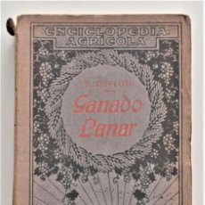 Libros antiguos: GANADO LANAR - PABLO DIFFLOTH - CASA EDITORIAL P. SALVAT AÑO 1921