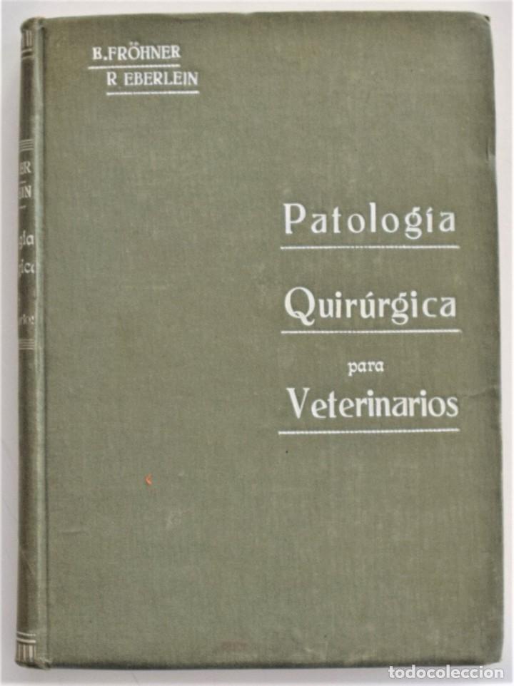 Libros antiguos: COMPENDIO DE PATOLOGÍA QUIRÚRGICA PARA VETERINARIOS - FRÖHNER Y EBERLEIN - BARCELONA AÑO 1922 - Foto 1 - 214321377