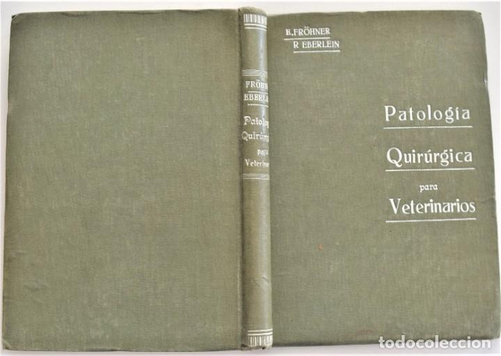 Libros antiguos: COMPENDIO DE PATOLOGÍA QUIRÚRGICA PARA VETERINARIOS - FRÖHNER Y EBERLEIN - BARCELONA AÑO 1922 - Foto 2 - 214321377