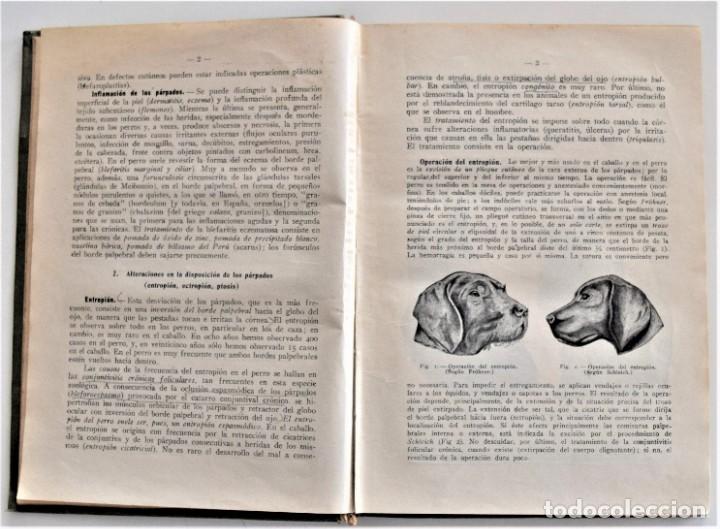 Libros antiguos: COMPENDIO DE PATOLOGÍA QUIRÚRGICA PARA VETERINARIOS - FRÖHNER Y EBERLEIN - BARCELONA AÑO 1922 - Foto 6 - 214321377