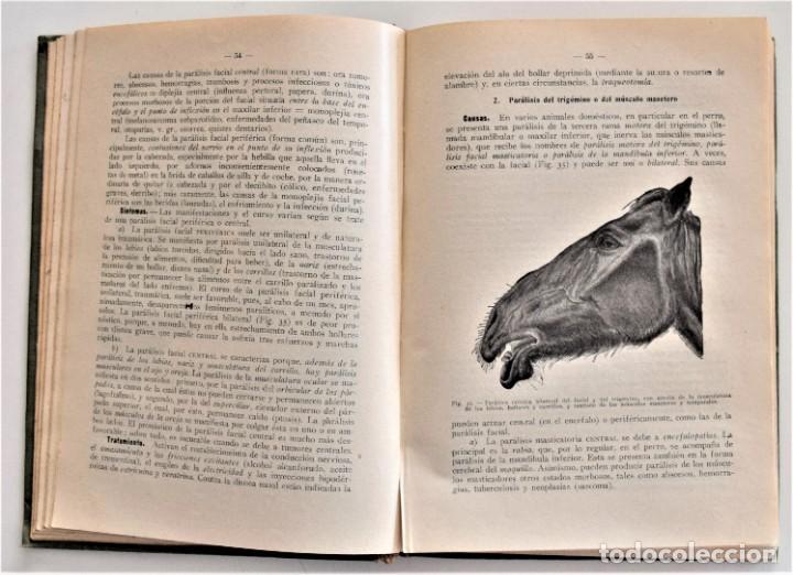 Libros antiguos: COMPENDIO DE PATOLOGÍA QUIRÚRGICA PARA VETERINARIOS - FRÖHNER Y EBERLEIN - BARCELONA AÑO 1922 - Foto 7 - 214321377