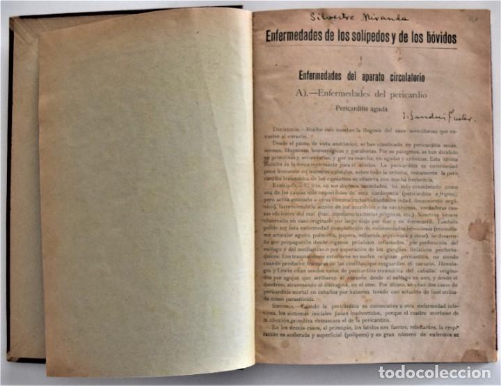 Libros antiguos: ENFERMEDADES DE LOS SOLÍPEDOS Y LOS BÓVIDOS - SILVESTRE MIRANDA - AÑO 1926? - Foto 4 - 214321963