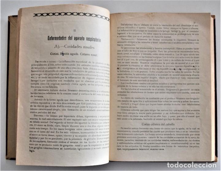 Libros antiguos: ENFERMEDADES DE LOS SOLÍPEDOS Y LOS BÓVIDOS - SILVESTRE MIRANDA - AÑO 1926? - Foto 5 - 214321963
