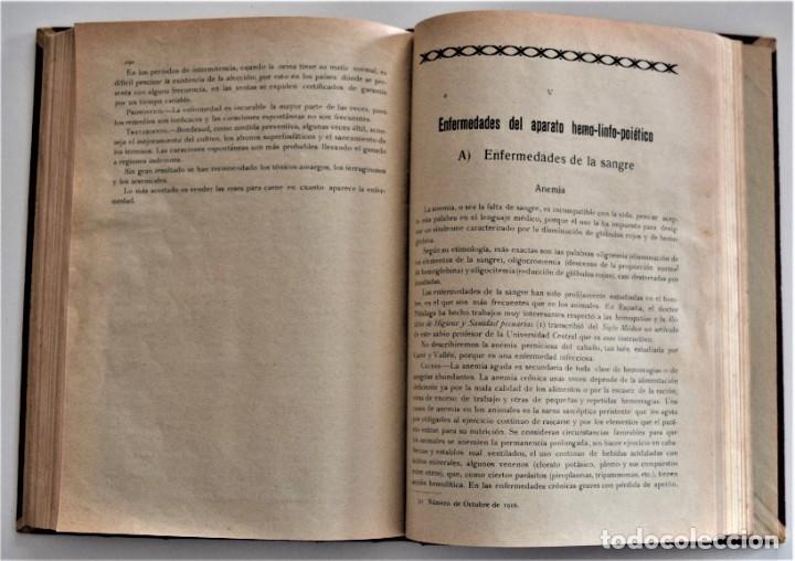 Libros antiguos: ENFERMEDADES DE LOS SOLÍPEDOS Y LOS BÓVIDOS - SILVESTRE MIRANDA - AÑO 1926? - Foto 6 - 214321963