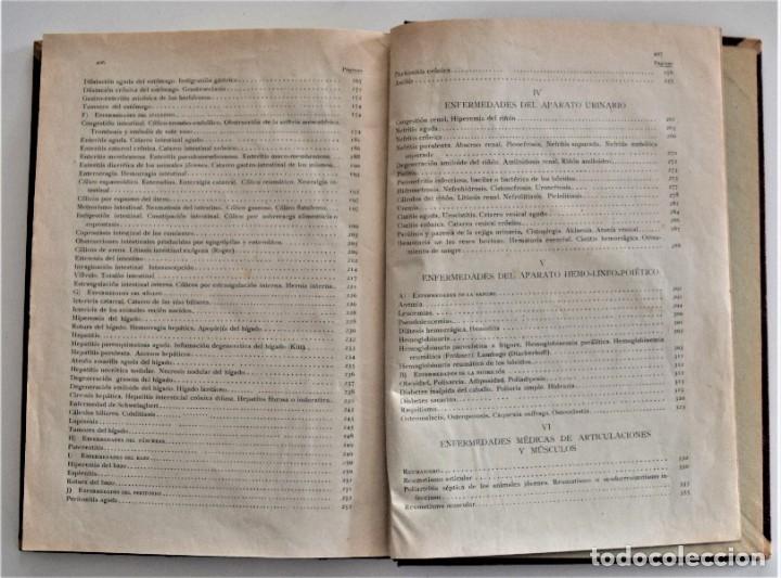 Libros antiguos: ENFERMEDADES DE LOS SOLÍPEDOS Y LOS BÓVIDOS - SILVESTRE MIRANDA - AÑO 1926? - Foto 9 - 214321963