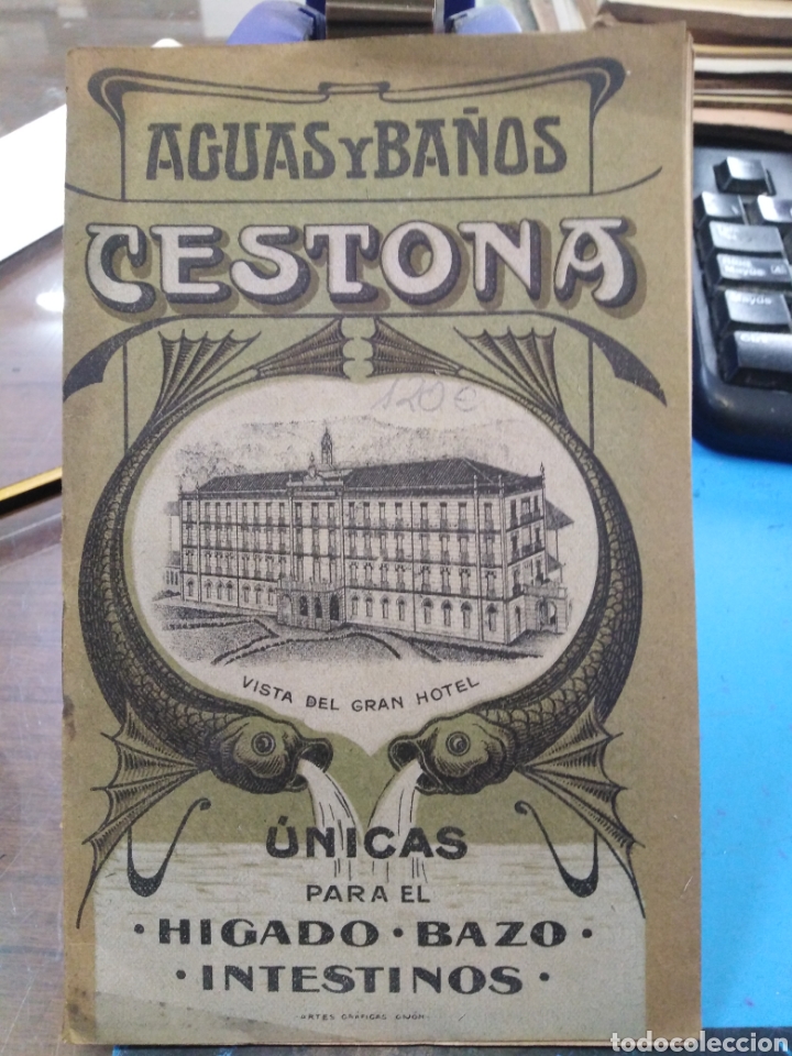 Libros antiguos: AGUAS Y BA&Ntilde;OS-CESTONA-&Uacute;NICAS PARA EL H&Iacute;GADO,BAZO,INTESTINOS,JOS&Eacute; EGUIGUREN,BALNEARIO,XIX.