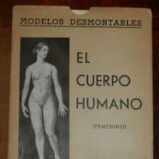 Libros antiguos: EL CUERPO HUMANO. FEMENINO. MODELOS DESMONTABLES. ED. ORBIS. ANTIGUO. MIDE 22 X 16 CMS Y DESPLEGADO. Lote 235564020