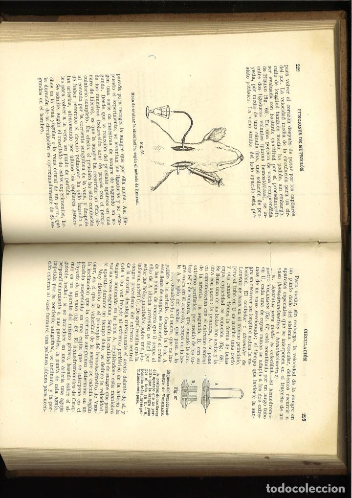 Libros antiguos: COMPENDIO DE FISIOLOG&Iacute;A. E. H&eacute;don - Foto 3