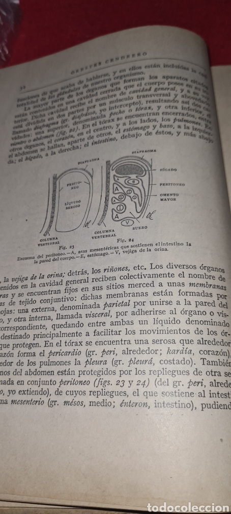 Libros antiguos: Lecciones de Anatomia, Fisioligia e Higiene. Orestes Cendrero. 1930 - Foto 10 - 267763779