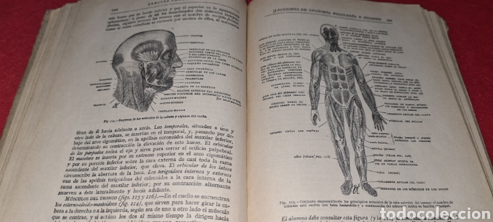 Libros antiguos: Lecciones de Anatomia, Fisioligia e Higiene. Orestes Cendrero. 1930 - Foto 19 - 267763779
