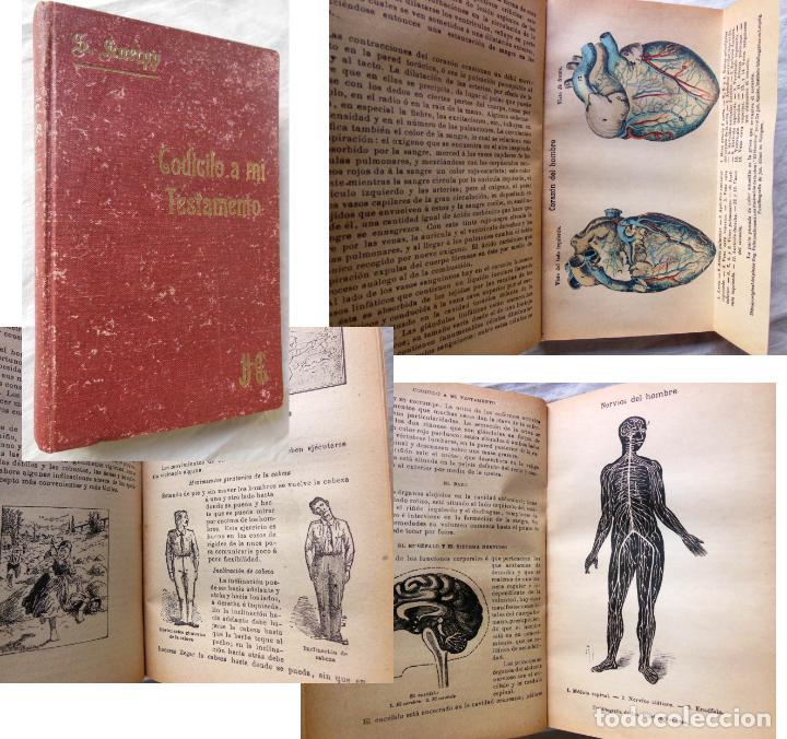 Libros antiguos: CODICILO A MI TESTAMENTO. SEBASTIAN KNEIPP - Foto 1