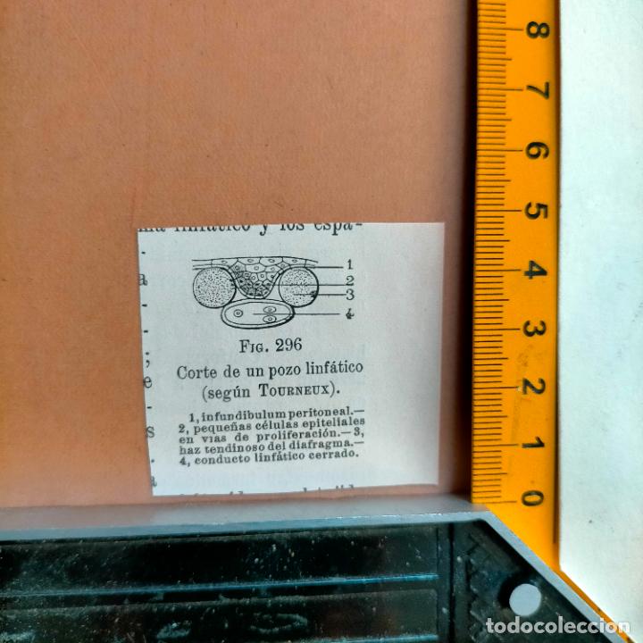 Libri antichi: antiguo grabado cuerpo humano medicina a&ntilde;o 1900 medico - PARTES ANATOMIA DISECCION VER FOTOS