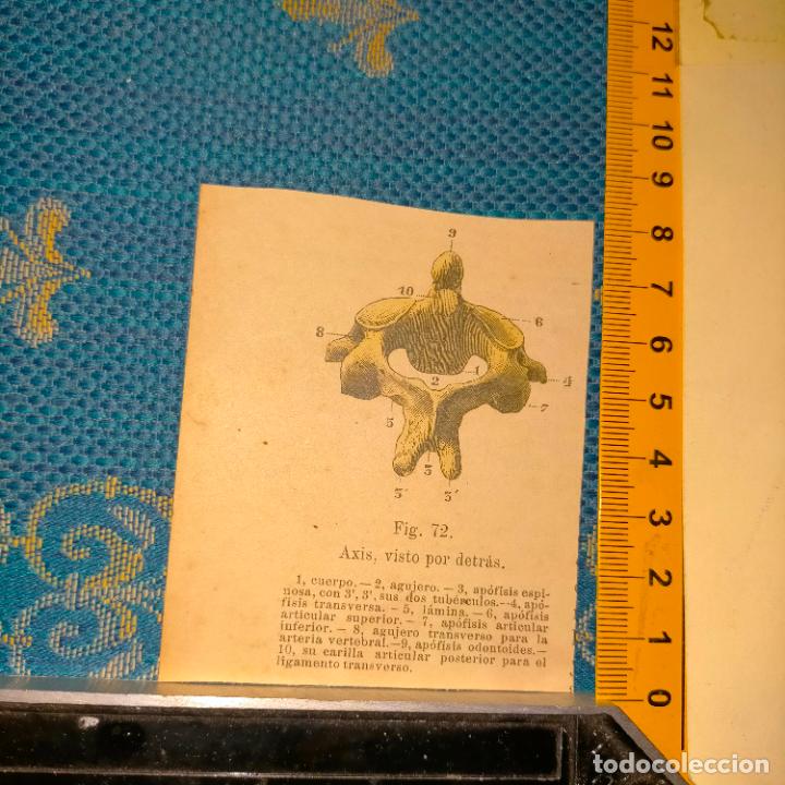 Libri antichi: antiguo grabado cuerpo humano medicina a&ntilde;o 1900 medico - PARTES ANATOMIA DISECCION VER FOTOS