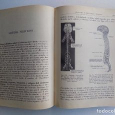 Libros antiguos: LIBRERIA GHOTICA. ORESTES CENDRERO. ELEMENTOS DE ANATOMIA Y FISIOLOGIA HUMANAS. 1935. GRABADOS.. Lote 305065483