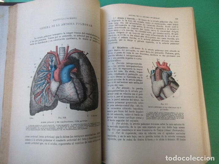 Tratado De Anatomía Humana. L. Testut. 4 Tomos. - Comprar Libros ...