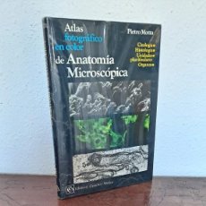 Libros antiguos: PIETRO MOTTA - ATLAS FOTOGRÁFICO EN COLOR DE ANATOMÍA MICROSCÓPICA - 1974. Lote 356858880