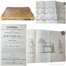 Libros antiguos: 1850 - ESTERIOR DE LOS PRINCIPALES ANIMALES DOMÉSTICOS - VETERINARIA - HÍPICA - CABALLOS