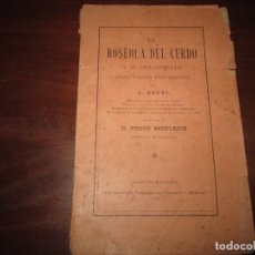 Libros antiguos: LA ROSEOLA DEL CERDO Y SU TRATAMIENTO A.REVEL 1893 PALMA DE MALLORCA. Lote 361267290