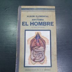 Libros antiguos: ALBUM ELEMENTAL DE ANATOMÍA EL HOMBRE. DALMAU CARLES PLA. (L79)