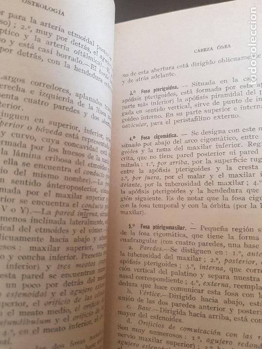Libros antiguos: COMPENDIO DE ANATOMIA DESCRIPTIVA,DR.L.TESTUT,1922 - Foto 6