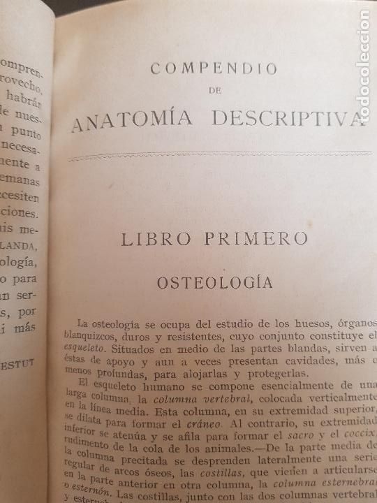Libros antiguos: COMPENDIO DE ANATOMIA DESCRIPTIVA,DR.L.TESTUT,1922 - Foto 7