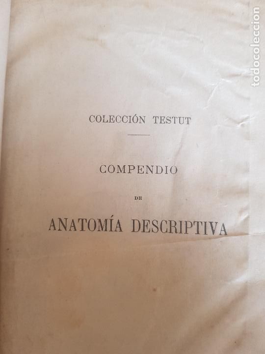 Libros antiguos: COMPENDIO DE ANATOMIA DESCRIPTIVA,DR.L.TESTUT,1922 - Foto 10