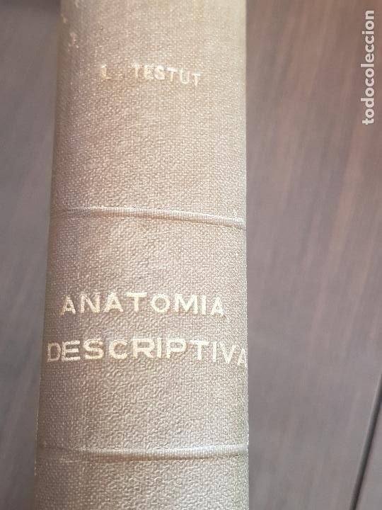 Libros antiguos: COMPENDIO DE ANATOMIA DESCRIPTIVA,DR.L.TESTUT,1922 - Foto 13