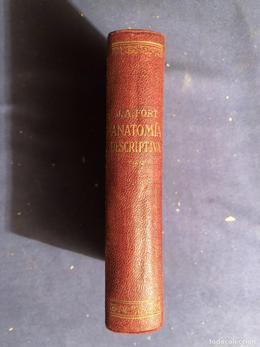 Libros antiguos: DR. J.A. FORT: - COMPENDIO DE ANATOMIA DESCRIPTIVA - (1925) - Foto 1