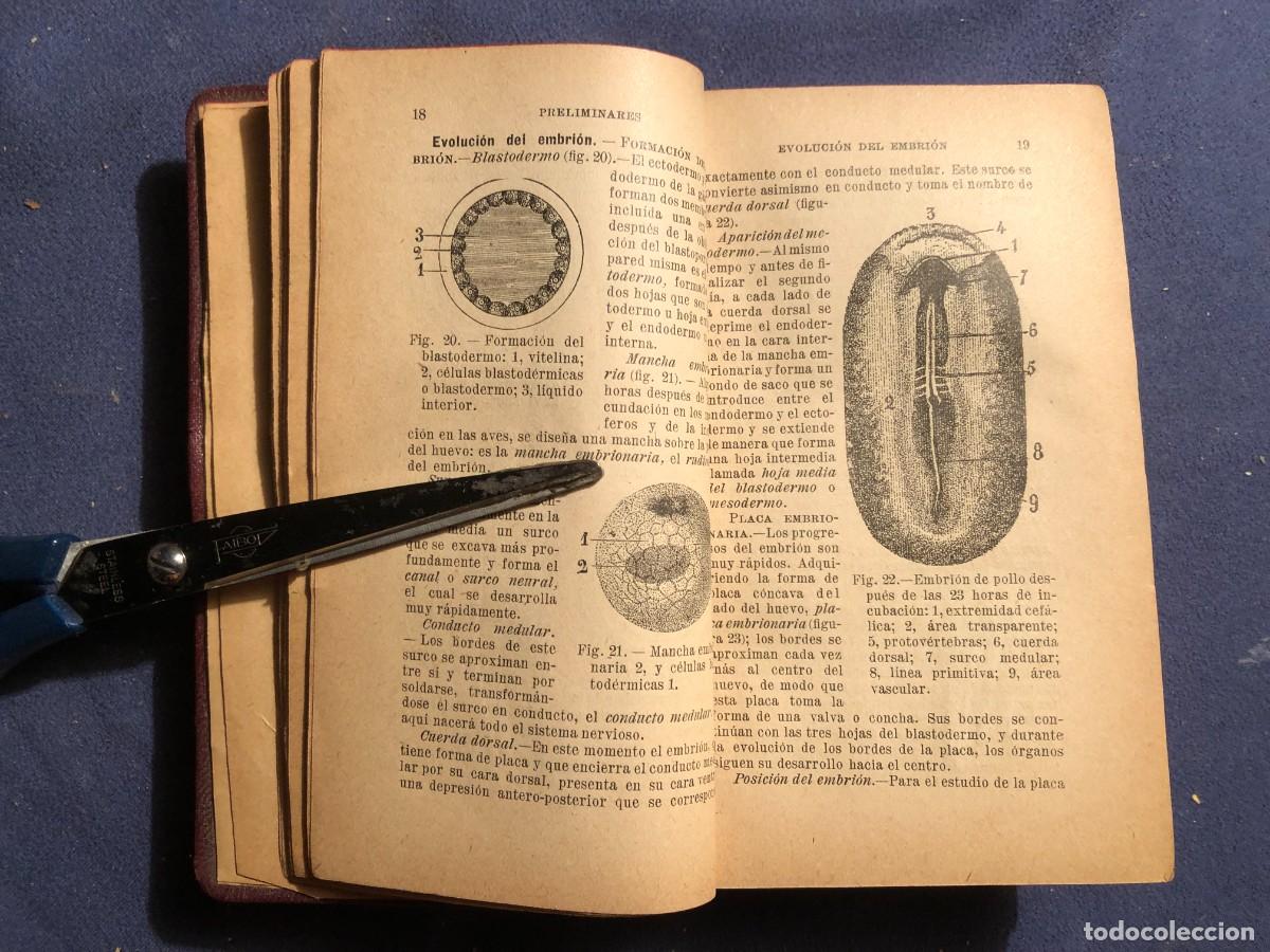 Libros antiguos: DR. J.A. FORT: - COMPENDIO DE ANATOMIA DESCRIPTIVA - (1925) - Foto 3