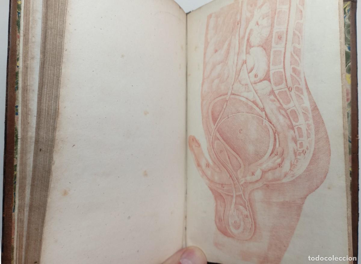 Libros antiguos: La preservacion natural &oacute; Tratado m&eacute;dico sobre las enfermedades de la juventud. S. La'Mert 1849