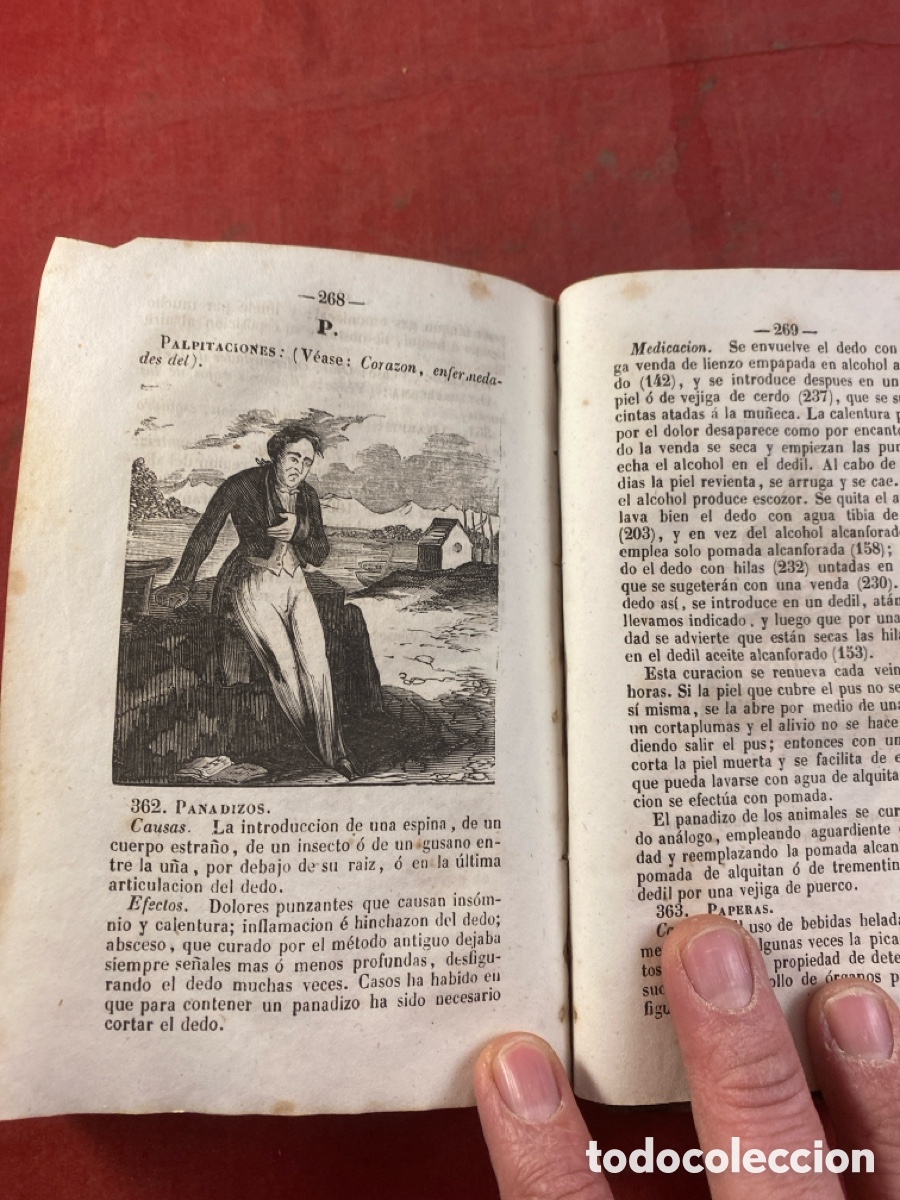 Libros antiguos: MANUAL DE LA SALUD - Foto 4